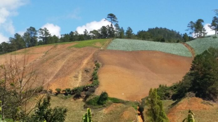 Alarma mundial: El 60% de la tierra en peligro