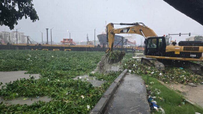 Acumulación de lodo y lilas obliga al cierre el puente flotante de Santo Domingo