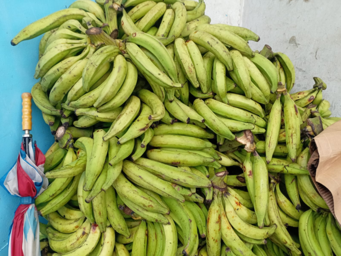 Precio del plátano alcanzara los 50 pesos la unidad y ajo a 250
