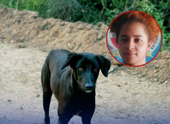 Queman a una perra mientras se refugiaba de la lluvia con sus cachorros
