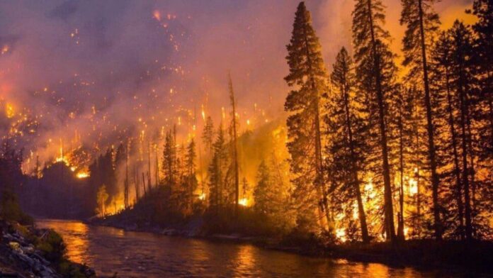 Incendios devastadores sacuden Chile con saldo de 16 muertos