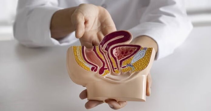 Cáncer de próstata: prevención, detección temprana y el valor de cuidarse a tiempo