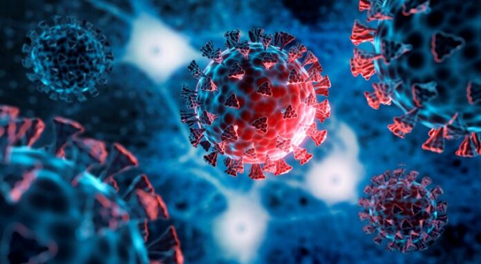 FDA aprueba nuevas vacunas contra COVID-19 para temporada 2026-2027