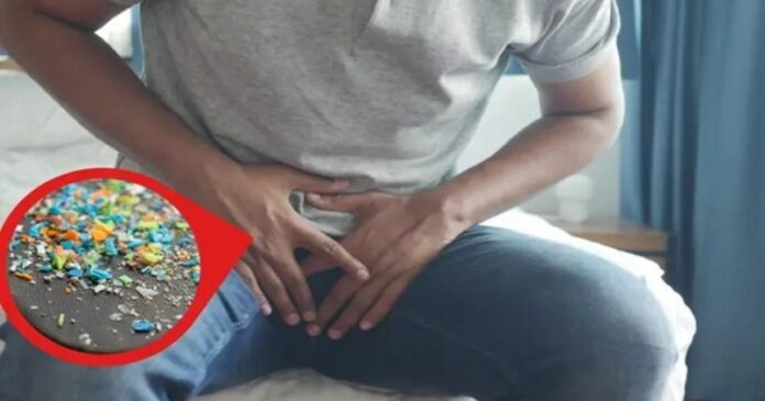Microplásticos en el sistema reproductivo: Reto en salud masculina