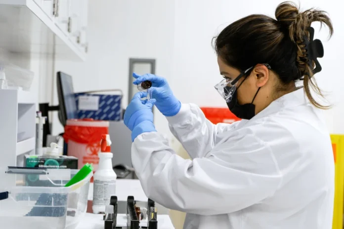 OMS: la ciencia confirma que el cáncer es evitable en gran medida