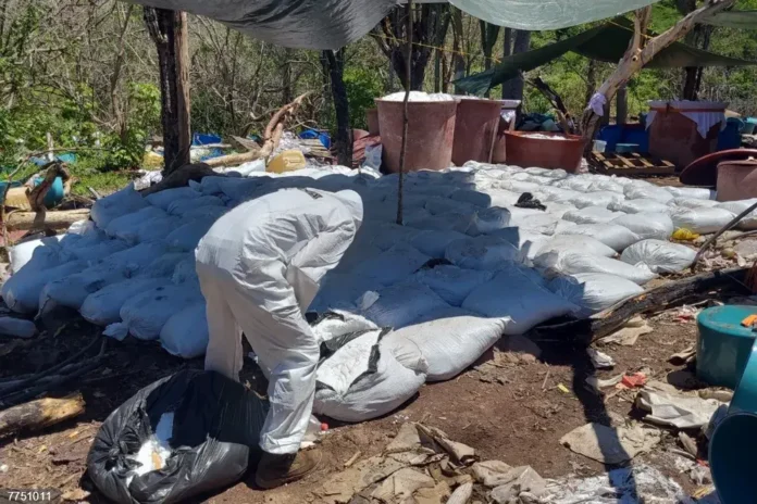 DEA atribuye a su inteligencia incautación de 16 toneladas de metanfetamina en Sinaloa