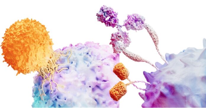 La salud de la mujer frente al cáncer ginecológico y su impacto familiar en República Dominicana   